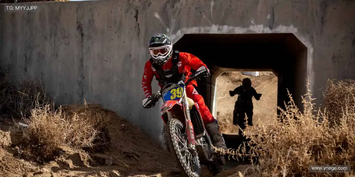 把热爱穿在身上,让每一件周边都成为你的骄傲!👕